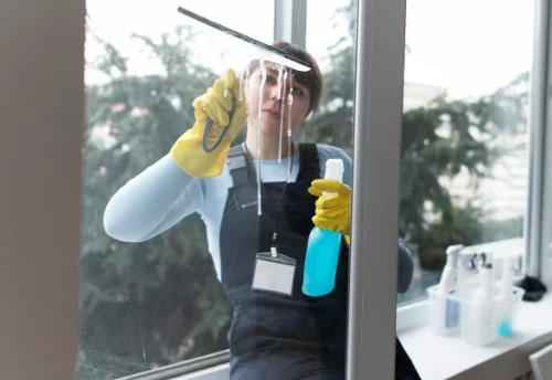 Nettoyage de vitres intérieures et extérieures à Boismé
